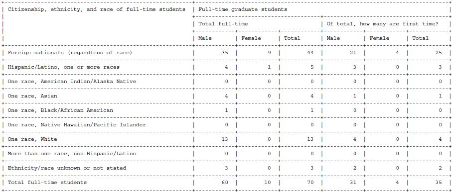 Example of the Full-Time Summary Grid of Race and Ethnicity