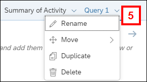 Screenshot of Query Panel showing the new Query tab clicked and the drop-down list containing the Rename option visible.