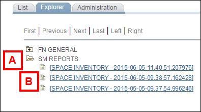 Screenshot of Report Manage Explorer Page