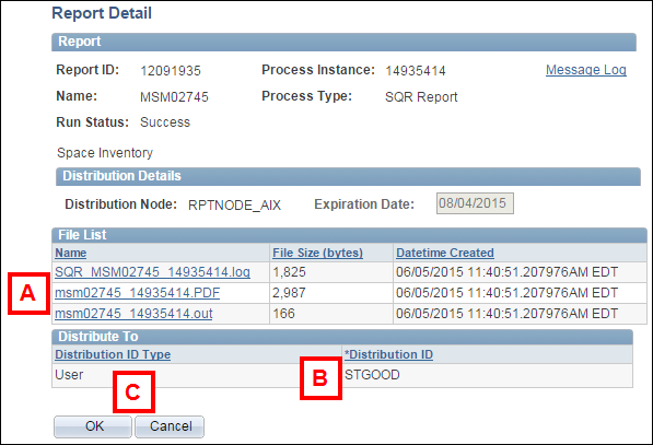 Screenshot Report Manager Report Detail Page