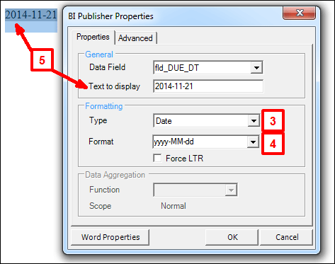 Screenshot of BI Publisher Properties window with the type, format and text to display fields highlighted