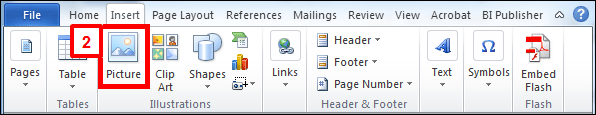 Screenshot of the Microsoft Word Inert menu with the Picture button highlighted