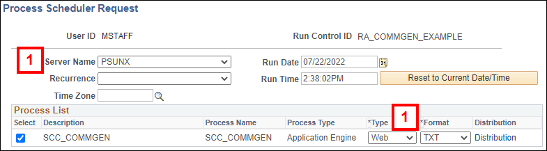 Screenshot of the process scheduler request page with the server name, type and format fields highlighted