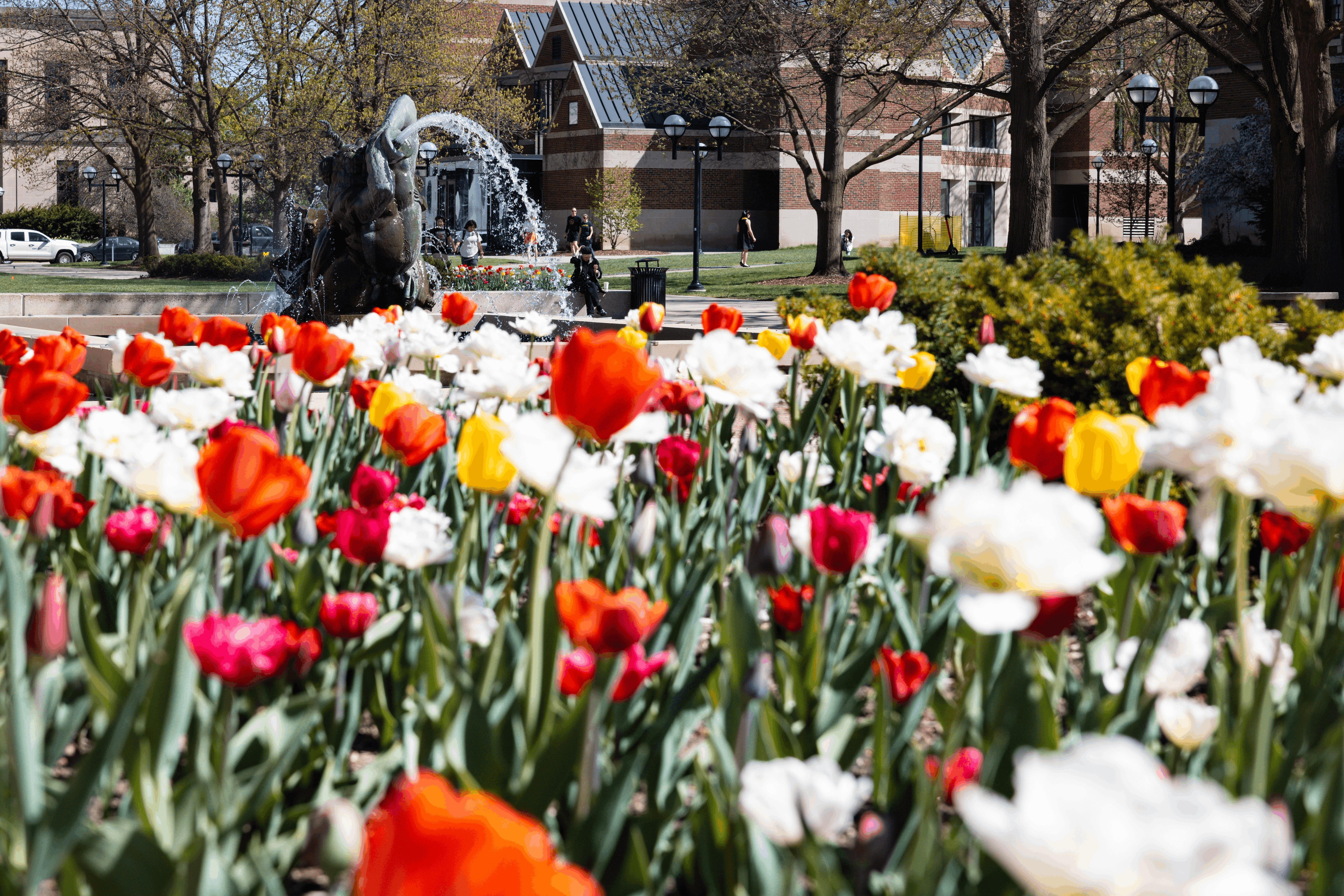 MCommons Spring time